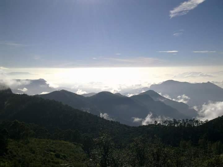 The Place ...The Experience Tamilnadu - Tamilnadu - Kodaikanal Extérieur photo